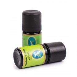 Anason Tohumu- Organik 5 ml